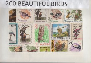 A Nice Selection Of 200 All Different Topicals. Beautiful Birds.   #02 TOP23