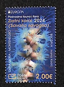 Montenegro 2024, Europa, marine life 1v, MNH