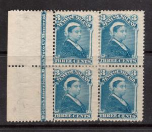 Newfoundland #49 Mint Rare Plate Block