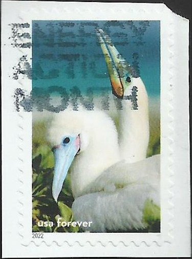 # 5713b Used National Marine Sanctuaries | United States, General Issue
