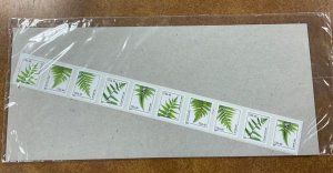 4848-4852 plate number coil strip of 25  Ferns 49c MNH 2014 in USPS  package