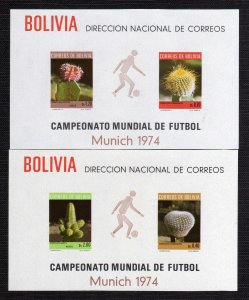 1973 - Bolivia - Munich 74 - Sc. 553a / 553b - Munich 74 - Cactus - MNH - BO-119