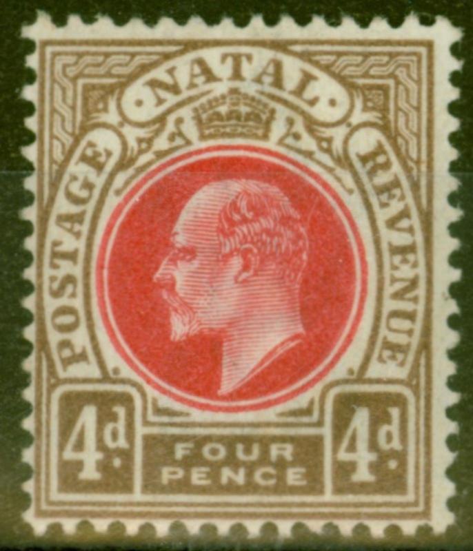 Natal 1902 4d Carmine & Cinnamon SG133 Fine & Fresh Lightly Mtd Mint