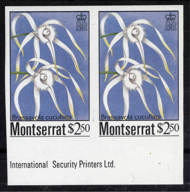 Montserrat 1985 $2.50 Brassavola Cucullata IMPERF PAIR SG 634 Scott 557 UMM/MNH