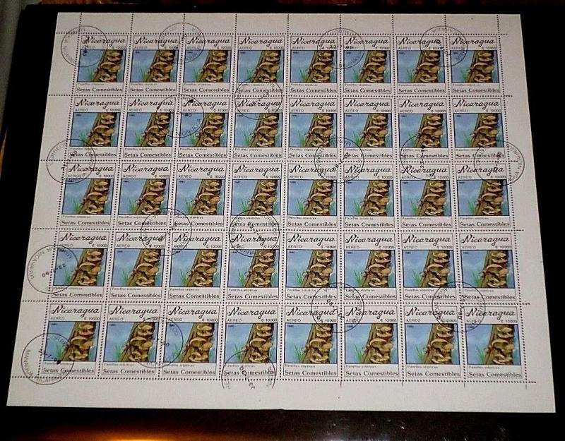 NICARAGUA,1990, MUSHROOMS, C$10000, SHEET/40, SCARCE!, CTO,#4 NICE! LQQK!