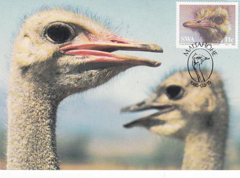 South West Africa 1985 Ostrich FDC Maximum Card unused VGC