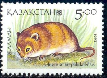 Desert Dormouse, Kazakhstan stamp SC#41 MNH