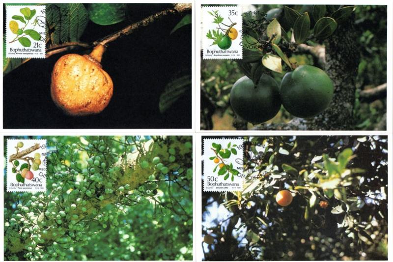Bophuthatswana - 1991 Edible Wild Fruit Maxi Card SG 252-255