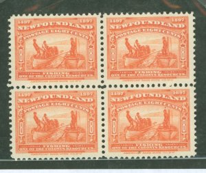 Newfoundland #67 Mint (NH) Multiple