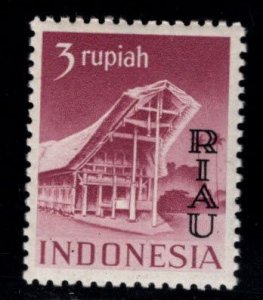 Indonesia RIAU Archipelago Scott 19 MNH**