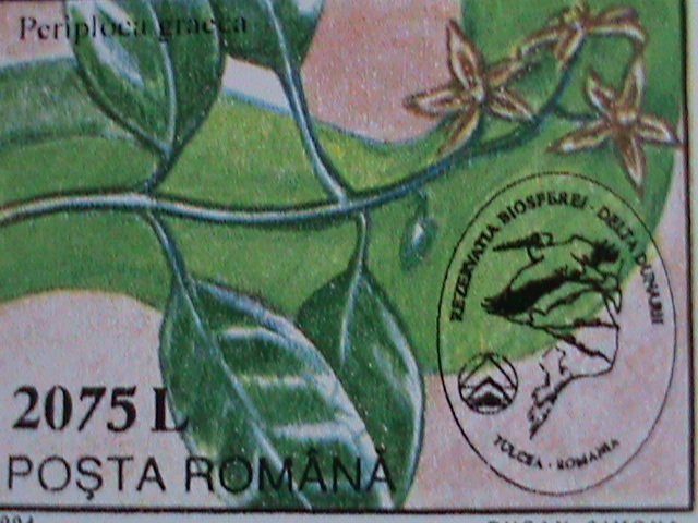 ​ROMANIA 1994 SC# 3881 EXPLORING CAVERN  MNH S/S VF WE SHIP TO WORLWIDE