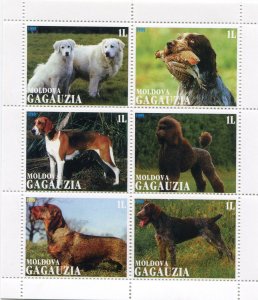 Gagauzia 1999 (Local Stamp Issues) VARIOUS DOGS Sheet (6) Perforated Mint (NH)VF