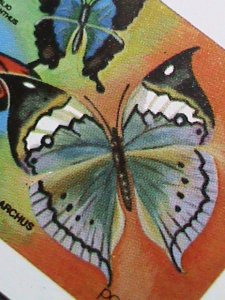 ​DHUFAR -COLORFUL BEAUTIFUL LOVELY BUTTERFLIES-IMPERF :MNH S/S SHEET-VERY FINE