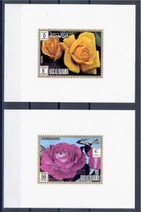 ROSES, RAS AL KHAIMA 6 PROOFS / SHEETLETS