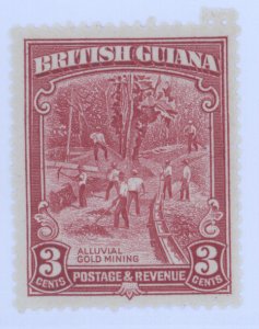 British Guiana, Scott #212, MH