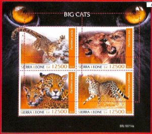 A4536 - SIERRA LEONE - ERROR MISPERF, Miniature sheet: 2019, Lions, Leopards