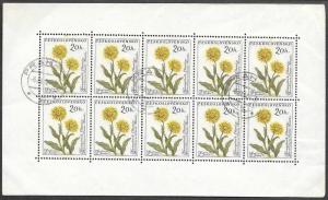 Czech SC 1013 - Doronicum Clusii - Pane of 10 - CTO - 1960