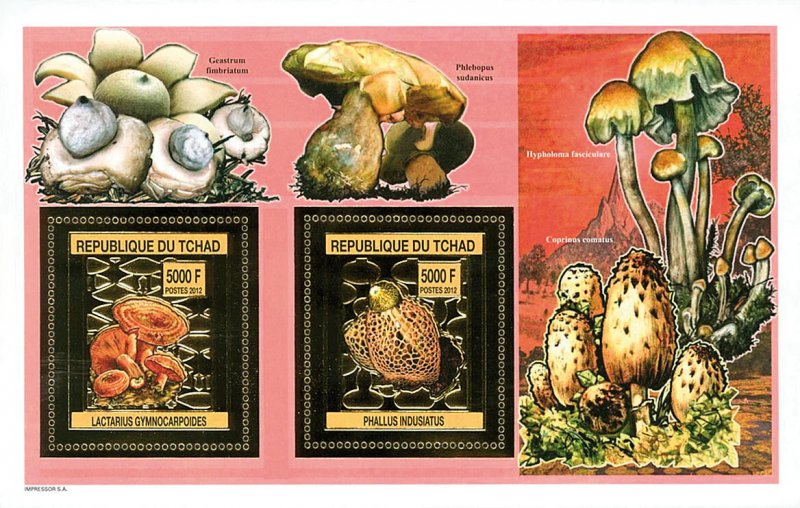 Chad 2012 Perf. Mushrooms Gold issue (2012) full N° A 2554 - B 2554 - BL. 439-