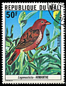 Mali 300, CTO, Red-billed Firefinch