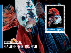 UGANDA - 2014 - Siamese Fighting Fish - Perf Souv Sheet - Mint Never Hinged