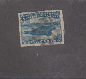 NEWFOUNDLAND # 40 VF-5cts HARP SEAL ROULETTED CAT VALUE $150