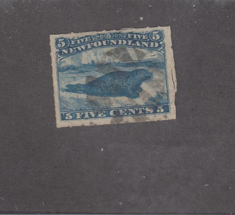 NEWFOUNDLAND # 40 VF-5cts HARP SEAL ROULETTED CAT VALUE $150