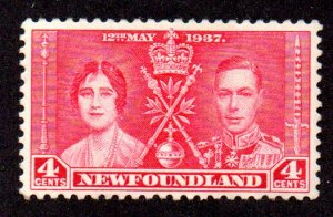 MM7862 NEW FOUNDLAND 231 MH BIN $1.00 ROYALTY