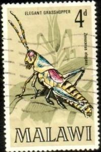 Insect, Elegant Grasshopper, Malawi stamp SC#127 used