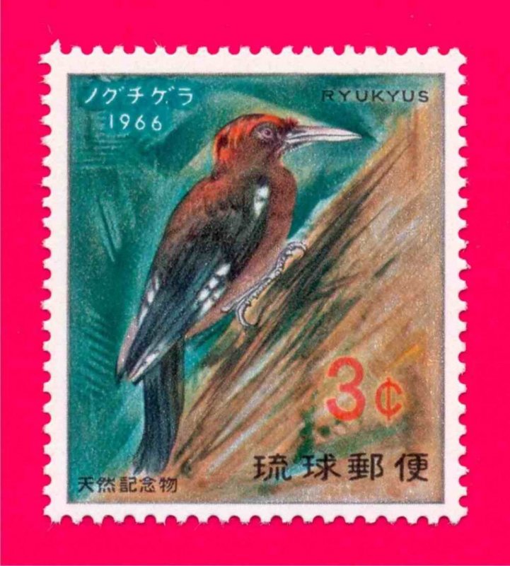 Ryukyu 1966 Nature Rare Fauna Bird Woodpecker 1v Sc140 MNH