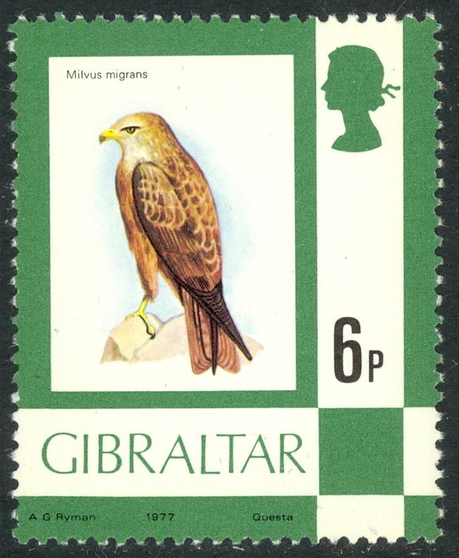 GIBRALTAR 1977-80 QE2 6p Black Kite BIRD Scott 347  MNH