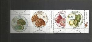 TONGA SHELLS SCOTT 1055-8  MNH 