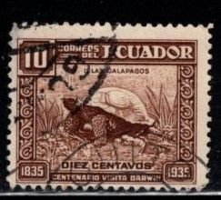 Ecuador - #342 Galapagos Tortise - Used