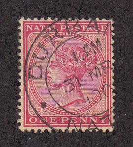 Natal Scott #67 Used