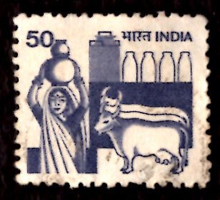 India 50p Dairy Cows Animals 1982 SG.928, Sc.914 Used (#01)