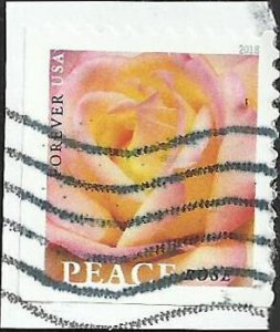 # 5280 Used Peace Rose