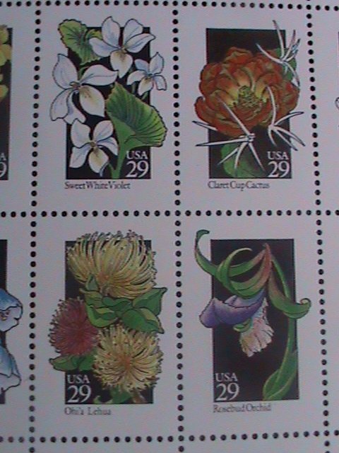 ​UNITED STATES- 1992 SC#2696a- 50 STATE WILD FLOWERS LARGE.-MNH FULL SHEET -VF