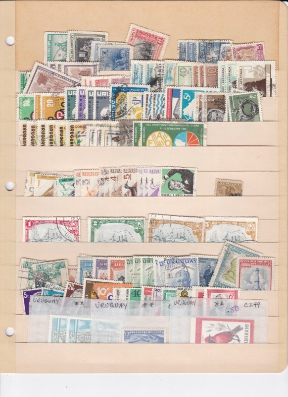 Uruguay, Nice Mixture on Stock Pages, Mint & Used