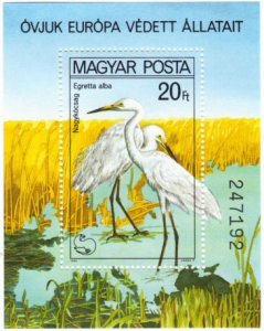 Hungary #2665 MNH: birds SS egret