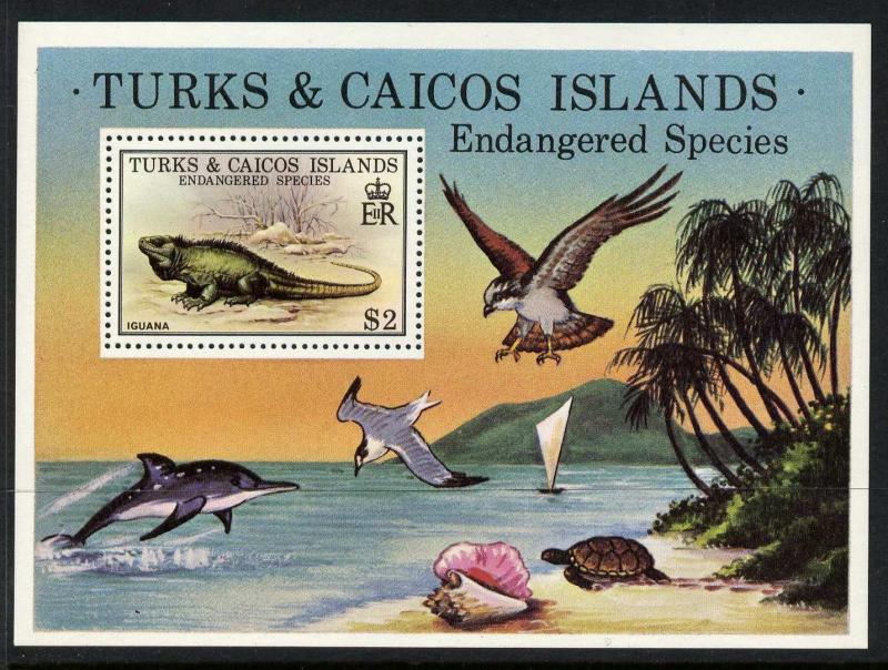 Turks & Caicos Islands 385 MNH Iguana, Dolphin, Birds, Turtle