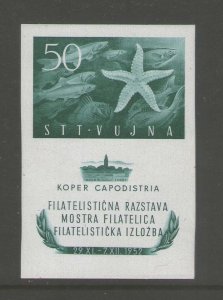 Yugoslavia Trieste Sc 65a MNH