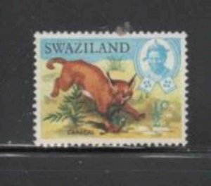 SWAZILAND #160 1969 1/2c CARACAL MINT VF NH O.G