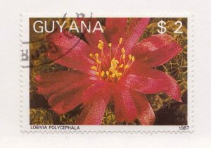 Guyana 1866h   used