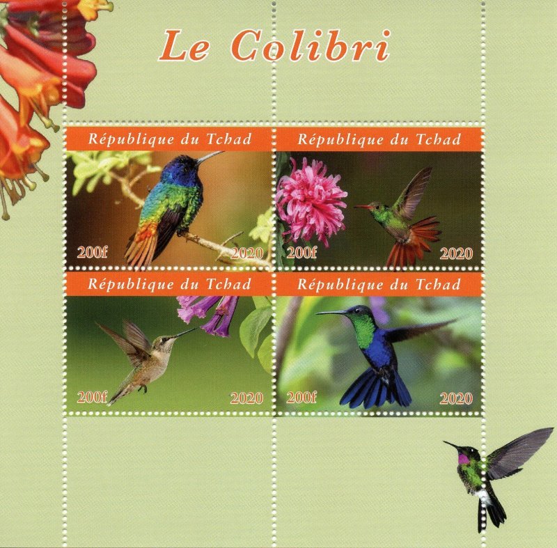 Chad Birds on Stamps 2020 MNH Hummingbirds Hummingbird Colibris 4v M/S