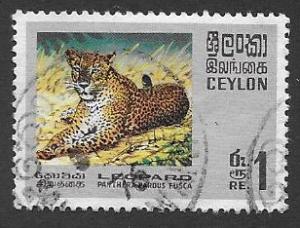 Ceylon Scott 442  Used