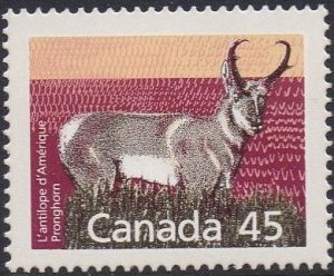 1172 Pronghorn MNH