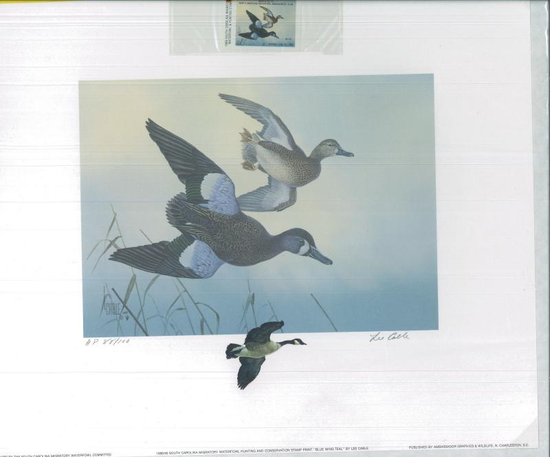 SOUTH CAROLINA #9 1989 DUCK STAMP PRINT BLUE WINGED TEAL ARTIST PROOF Lee Cable
