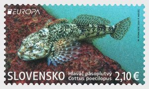 Slovakia 2024 EUROPA Rare fish perforated stamp MNH