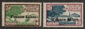 New Caledonia 218 Mint hinged, 219 Mint never hinged