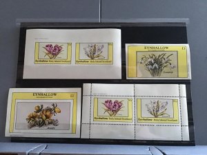 Scotland Holy Island Eynhallow Crocus Flowers plants  MNH stamps  R24133