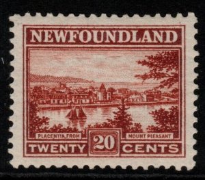 NEWFOUNDLAND SG161 1924 20c CHESTNUT MTD MINT